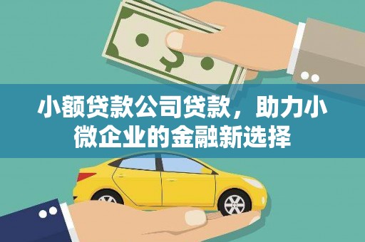 雾峰小额贷款公司贷款，助力小微企业的金融新选择
