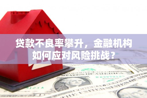 雾峰贷款不良率攀升，金融机构如何应对风险挑战？