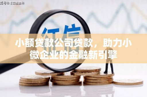雾峰小额贷款公司贷款，助力小微企业的金融新引擎