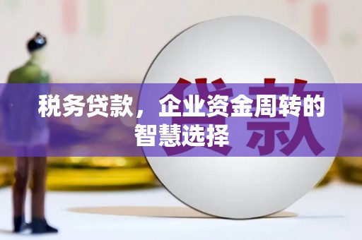 雾峰税务贷款，企业资金周转的智慧选择