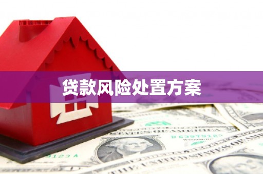 雾峰贷款风险处置方案