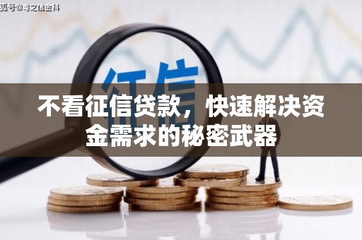 雾峰不看征信贷款，快速解决资金需求的秘密武器