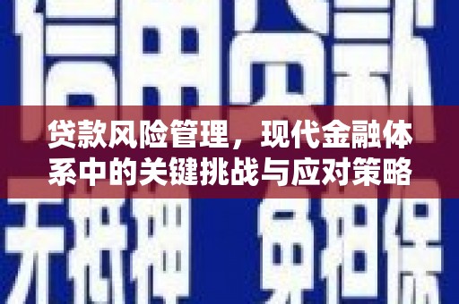 雾峰贷款风险管理，现代金融体系中的关键挑战与应对策略