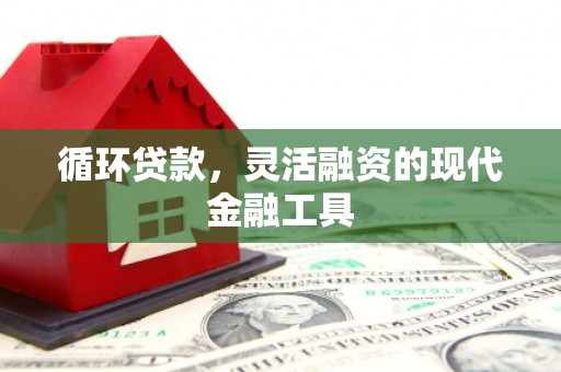 雾峰循环贷款，灵活融资的现代金融工具