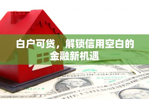 雾峰白户可贷，解锁信用空白的金融新机遇