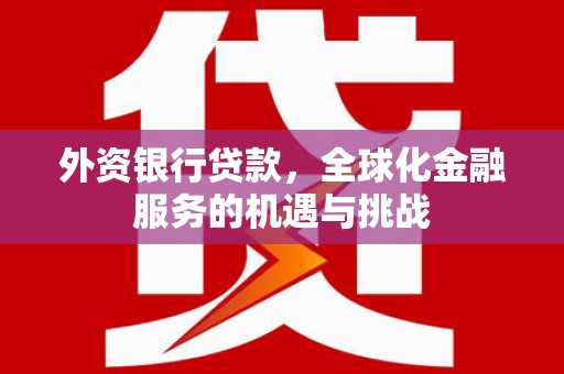 雾峰外资银行贷款，全球化金融服务的机遇与挑战