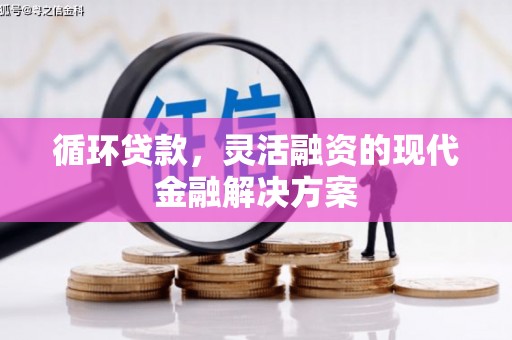 雾峰循环贷款，灵活融资的现代金融解决方案
