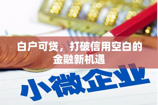 雾峰白户可贷，打破信用空白的金融新机遇