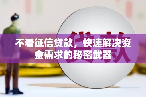 雾峰不看征信贷款，快速解决资金需求的秘密武器