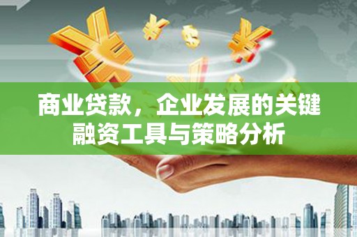 雾峰商业贷款，企业发展的关键融资工具与策略分析