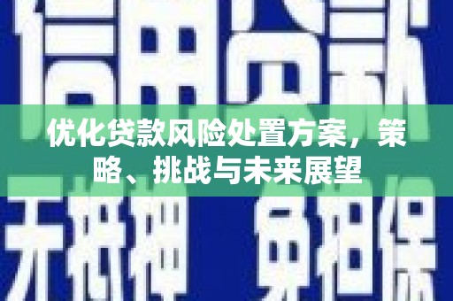 雾峰优化贷款风险处置方案，策略、挑战与未来展望