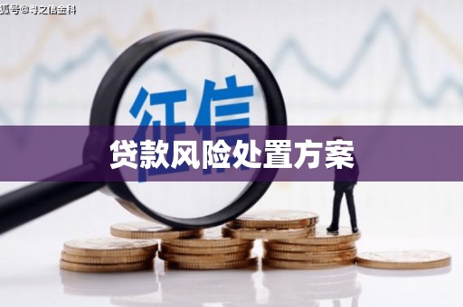 雾峰贷款风险处置方案