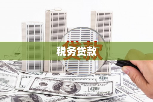 雾峰税务贷款