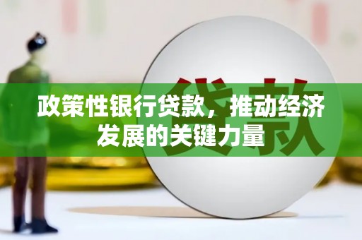 雾峰政策性银行贷款，推动经济发展的关键力量