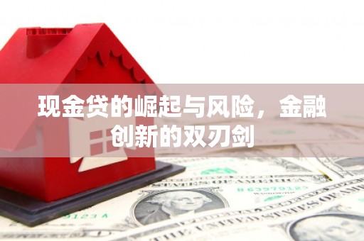 雾峰现金贷的崛起与风险，金融创新的双刃剑
