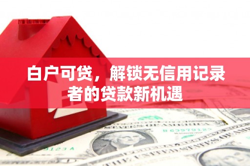 雾峰白户可贷，解锁无信用记录者的贷款新机遇