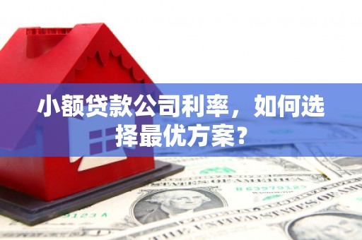 雾峰小额贷款公司利率，如何选择最优方案？