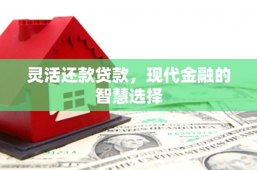 雾峰灵活还款贷款，现代金融的智慧选择