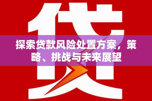 雾峰探索贷款风险处置方案，策略、挑战与未来展望