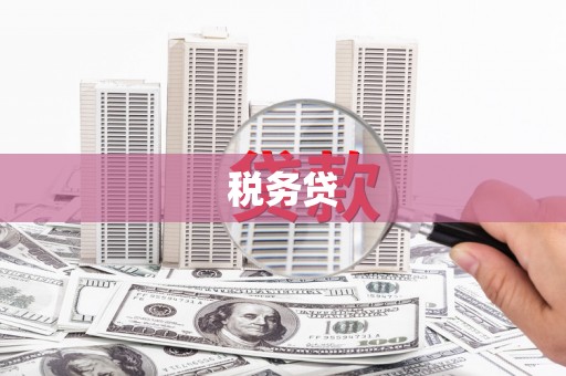 雾峰税务贷