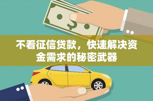 雾峰不看征信贷款，快速解决资金需求的秘密武器
