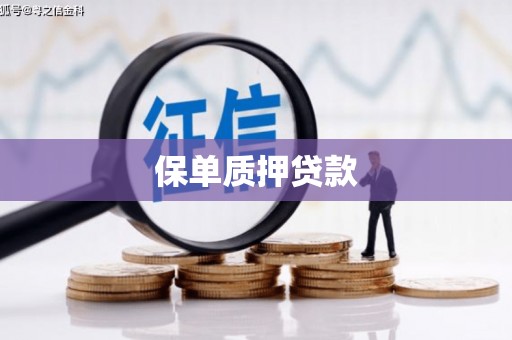 雾峰保单质押贷款