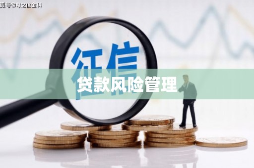 雾峰贷款风险管理