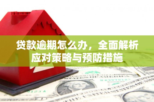 雾峰贷款逾期怎么办，全面解析应对策略与预防措施