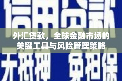 雾峰外汇贷款，全球金融市场的关键工具与风险管理策略