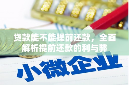 雾峰贷款能不能提前还款，全面解析提前还款的利与弊
