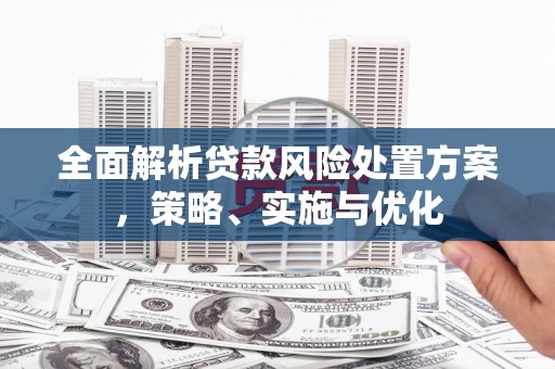 雾峰全面解析贷款风险处置方案，策略、实施与优化