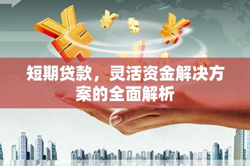 雾峰短期贷款，灵活资金解决方案的全面解析