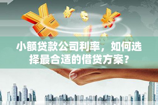 雾峰小额贷款公司利率，如何选择最合适的借贷方案？