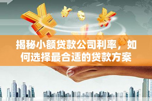 雾峰揭秘小额贷款公司利率，如何选择最合适的贷款方案