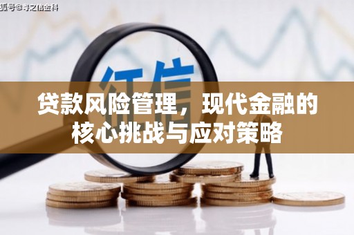 雾峰贷款风险管理，现代金融的核心挑战与应对策略