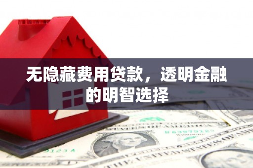 雾峰无隐藏费用贷款，透明金融的明智选择