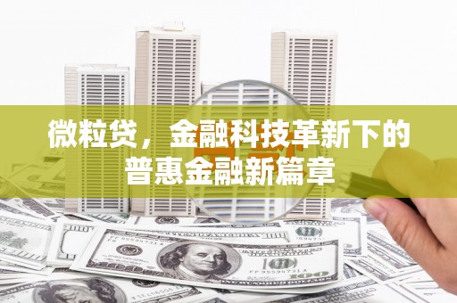 雾峰微粒贷，金融科技革新下的普惠金融新篇章