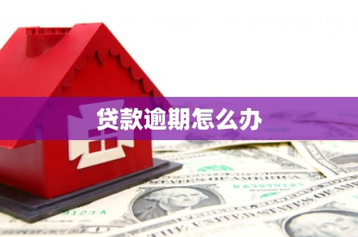 雾峰贷款逾期怎么办