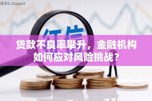 雾峰贷款不良率攀升，金融机构如何应对风险挑战？