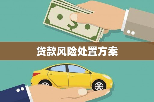 雾峰贷款风险处置方案