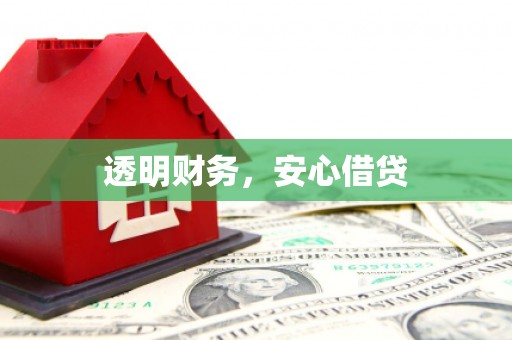 雾峰透明财务，安心借贷