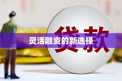 雾峰灵活融资的新选择